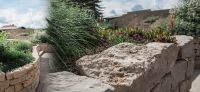 14_Spaziergang_mit_Rosenduft-Rosengarten-Duftgarten-Poolbereich-Galabau-Leipzig