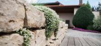 16_Spaziergang_mit_Rosenduft-Rosengarten-Duftgarten-Poolbereich-Galabau-Leipzig