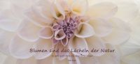 09_dahlie_dahlia_georgine_gartenplanung_blumen_laecheln_natur