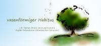 12_vasenfoermiger_habitus