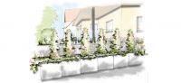 03_gartenperspektive