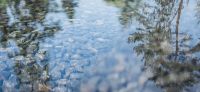 14_wasserbecken_reflexionen