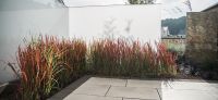 13_gartenplanung_blaustein_modern_bepflanzung_sichtschutz