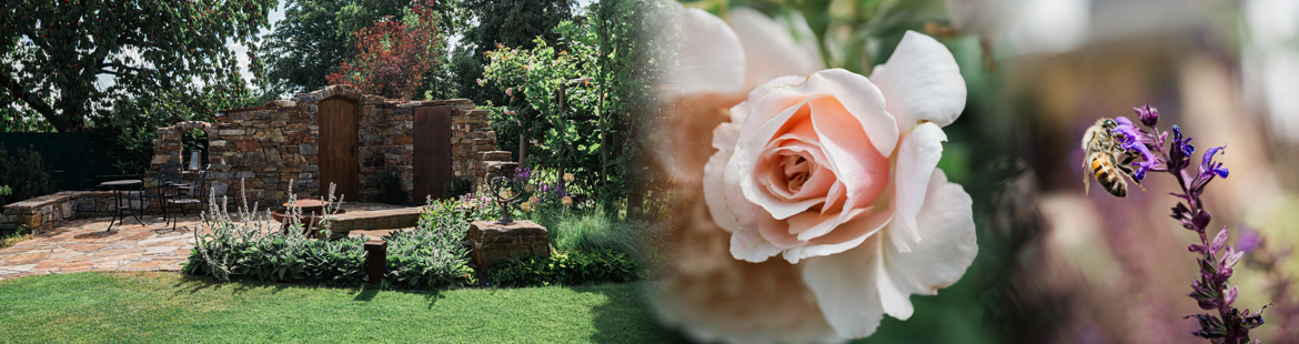 Gartenprojekt mit Cottage-Charme