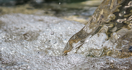 gartenplanung-gartengestaltung-wasser-tiere-naturschutz