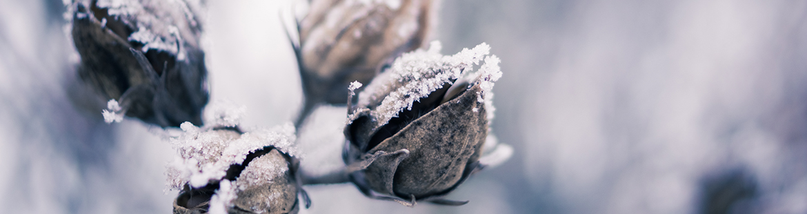 Wintereindrücke