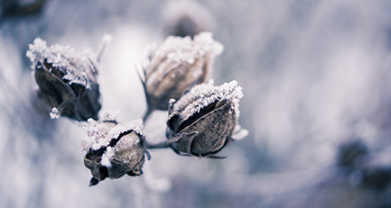 Wintereindrücke