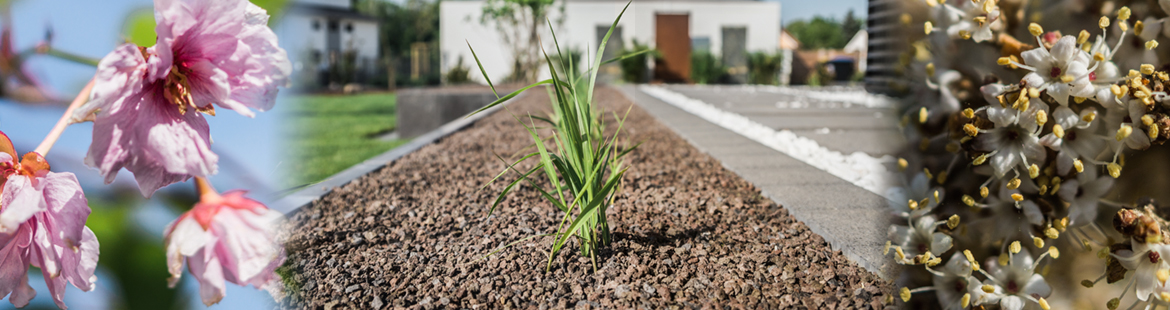 Gartenplanung in Leipzig - Harmonie auf allen Ebenen